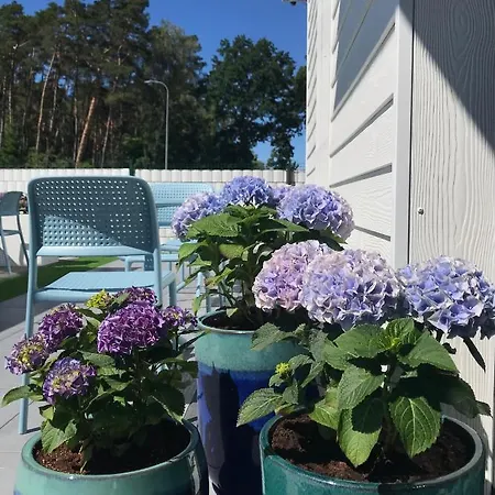 Flamingo Apart Dziwnów