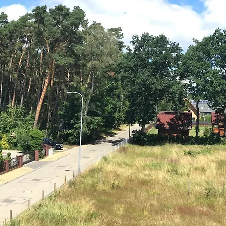 Flamingo Apart * Dziwnów