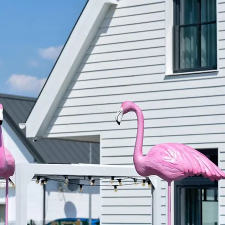 B&B Flamingo Apart
