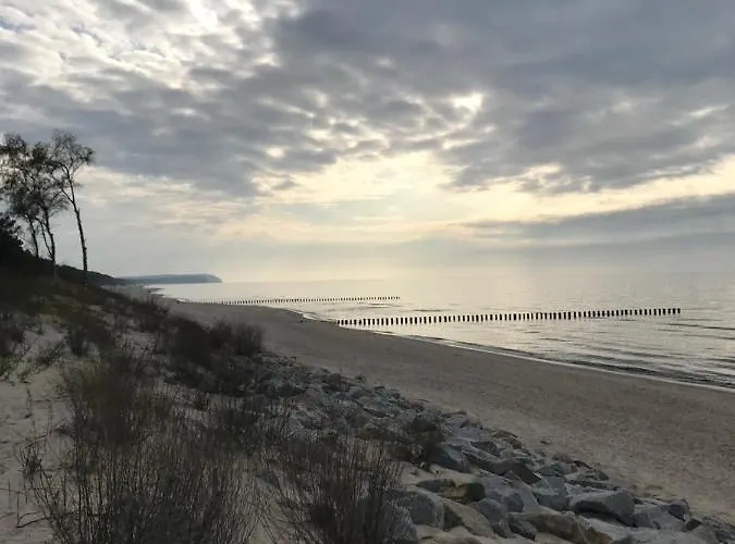 Flamingo Nocleg ze śniadaniem