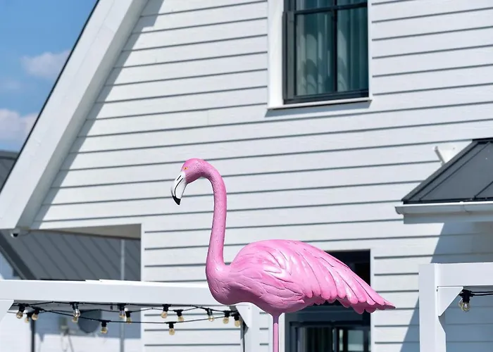 Nocleg ze śniadaniem Flamingo *