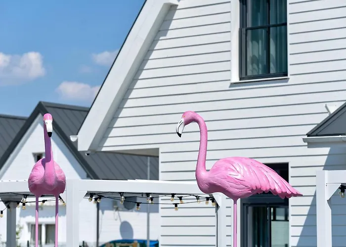 Bed & Breakfast Flamingo Apart